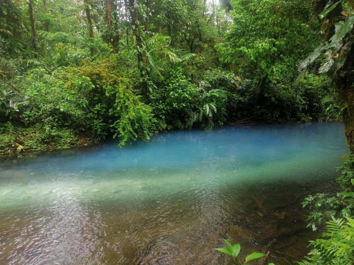 Bed and Breakfast Posada Rio Celeste In Экстерьер фото